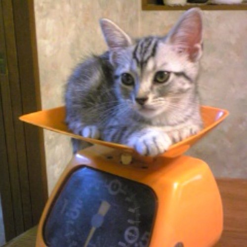 sgatio's profile picture. 