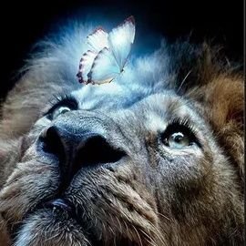 LauriSadoux's profile picture. 