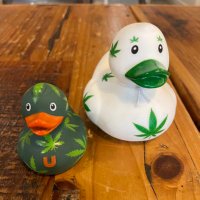 International Cannabis in Sport Academy (ICSA) (@icsaworldwide) 's Twitter Profile