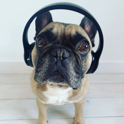 MartPayne's profile picture. Husband 🏳️‍🌈, French Bulldog Daddy and educationalist!