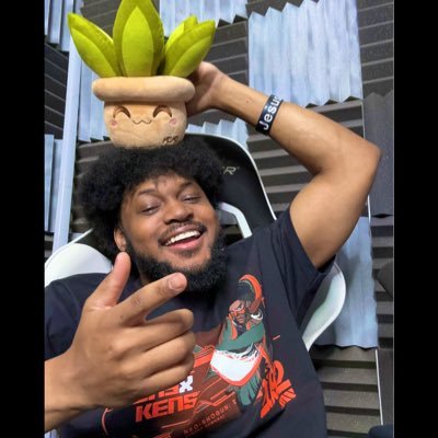 allwallows's profile picture. 