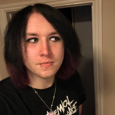 Bird enthusiast and general doer of shenanigans, 27, Bi, Heritage Railway Driver #lgbwiththet #actuallyautistic Backup - @Tidmouthf1reman