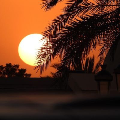 Osama_H7's profile picture. رَبَّنَا آتِنَا فِي الدُّنْيَا حَسَنَةً وَفِي الْآخِرَةِ حَسَنَةً وَقِنَا عَذَابَ النَّارِ