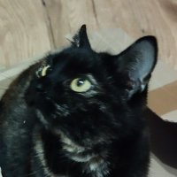 Krzysztof Feldman (@empirycyzm) 's Twitter Profile Photo Krzysztof Feldman (@empirycyzm) 's Twitter Profile Photo