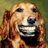 YUR_I_'s profile image