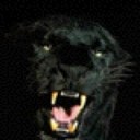 Brendan Bennett - @BrendanBennett7 - Twitter