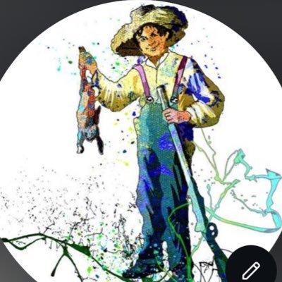 fenstej6412's profile picture. 