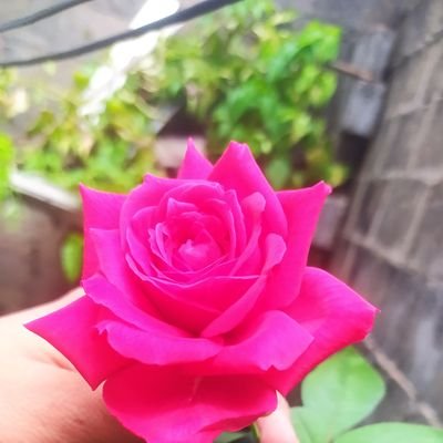 Miranda08i's profile picture. The best is yet to come