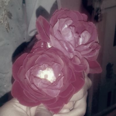 ShauryaShubhra's profile picture. Iam really sweet 😜