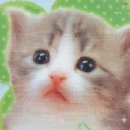 h0rny_ch3rry's profile picture. 🌸🍒~ He/She/ ENG-ESP / Open commissions / Nsfw some times~🍒🌸