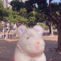 ぎゅうたん (@pgyaaaa101) Twitter profile photo