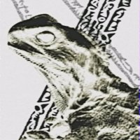 Analog-Tuatara™ (@analog_tuatara) 's Twitter Profile