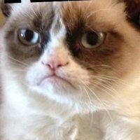 Jay wave (@jaywave1958) 's Twitter Profile