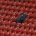 VDG 10 (@10dfutbol) Twitter profile photo VDG 10 (@10dfutbol) Twitter profile photo