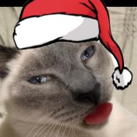 andy (@lacefield) 's Twitter Profile Photo