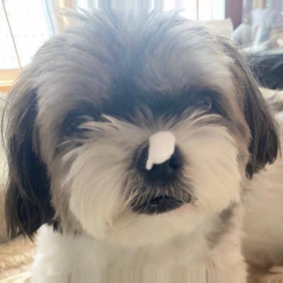 ポッキー専@NIIKEN (@4QQTN7PV9E95749) / Posts / X