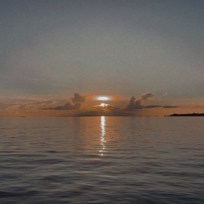 yash385168's profile picture. 