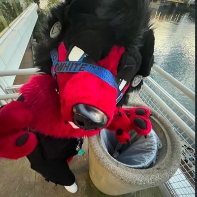 Fluffy dog man• Next con: Furpocalypse 25