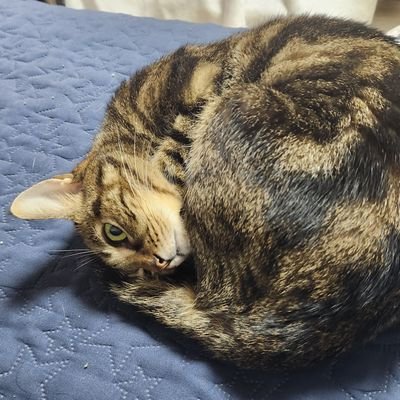 over_camp's profile picture. 개백수/ 그림러 / 자캐관련_ 자캐를 오지게 팝니다. (근데 자캐코패스) 잡덕인데, 앤캐에겐 진심임. 언제 로그를 쪄서 앤오님 입에 넣어드릴지 모름. / 자급자족 / 마음러 / 게임 : 명방, 로아, 사퍼, 이리는 좋아하기만../ 블스는 하단에 링크