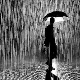 RandiPange79524's profile picture. 