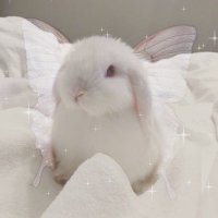 ᴀᴜʀɪ (SHEDTWT) (@auriana_bunnie) 's Twitter Profile Photo ᴀᴜʀɪ (SHEDTWT) (@auriana_bunnie) 's Twitter Profile Photo