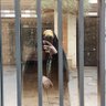 GerivaniMasome's profile picture. ما یقین داریم آن سوی افق مردی هست...