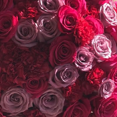 Tek74545's profile picture. 