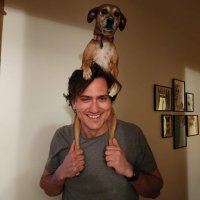 Sipsy (@sips_wow) 's Twitter Profile