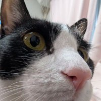 岡﨑俊樹 (@no_reason2002) 's Twitter Profile