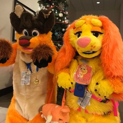 I’m a 33 year old sheppy who loves to snowmobile and loves hanging with other canine fluffs I’m a kind sweetheart of a Sheppy