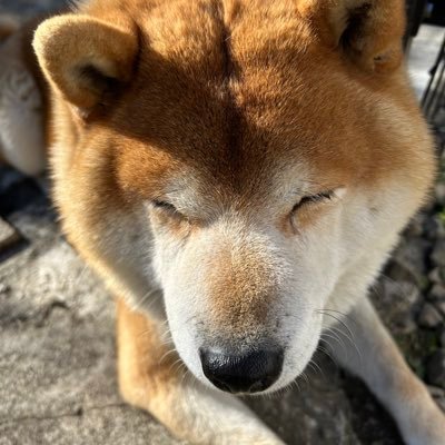 趣味推し活垢20↑男 マスター/決闘者 /褪せ人/🌈ホロ箱推 /エリ草 #Eli_Conifer/ドラ友 #___Dola/なつめいと #kurusu72me/RT激多その他諸々▶︎URLからどうぞ ヘッダー創作代理 ご友人作