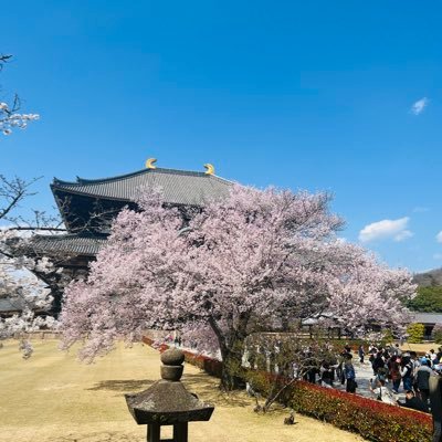 Truong90hy's profile picture. Skin Iphone, laptop, ipad, nhận đặt skin theo yêu cầu