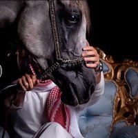 أحـَمـَد ألدِلـيمـيْ (@smooharf) Twitter profile photo