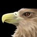 Xacla (@xacla) Twitter profile photo Xacla (@xacla) Twitter profile photo