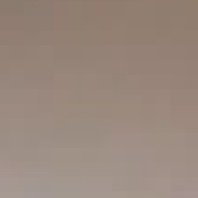 jhesshamikti's profile picture. deers & baby blue 🩵