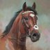 ali ilter (@ali_ilter) Twitter profile photo ali ilter (@ali_ilter) Twitter profile photo