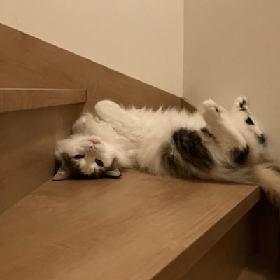 息子はフレンダ引退間近(=´∀`)父は近々引退予定(^^)毎弾初日に深夜凸してるゲーマーです🎮フレンダは紛れもなくギャンブルだ🎰抜け出せるかな