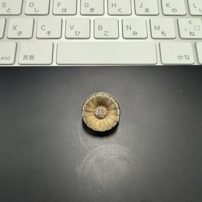 第一東京弁護士会所属 AppSheetで業務効率化を目指して作成したアカウントです。趣味用にも使ってます。最近は生成AIを助手としてこき使う方法ばかり試しています。#appsheet #googleworkspace