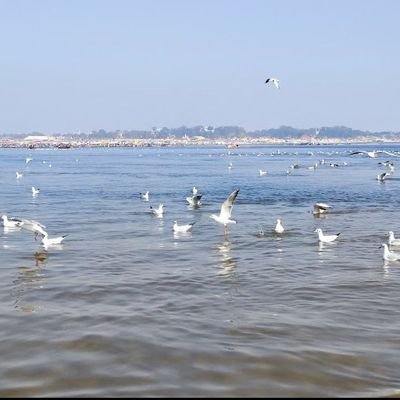 kumar23124's profile picture. Parinda
