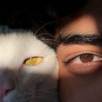 عُ❤️ (@s9a88) 's Twitter Profile