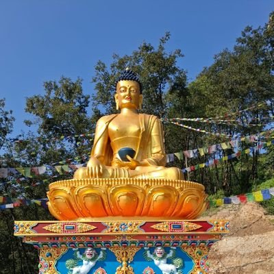 thehimalay48131's profile picture. 