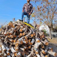 Cesar Murillo (@murilloccmz71) 's Twitter Profile