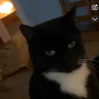 Tam 🇬🇧🇷🇺💪🏼 (@fztam33608) 's Twitter Profile Photo Tam 🇬🇧🇷🇺💪🏼 (@fztam33608) 's Twitter Profile Photo