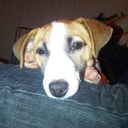 Anna Foreman - @Foremana_15 - Twitter