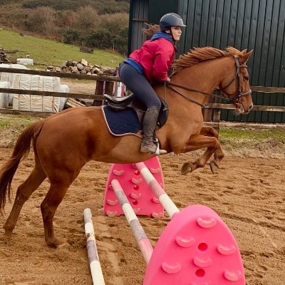 DrLW1990's profile picture. Lecturer + Researcher in English Literature. 
Equestrian + BHS Stage 3 Riding Instructor.
Fulbright Irish Scholar.