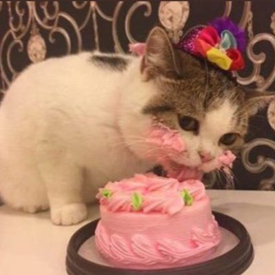 lutfen_kahve's profile picture. Sadece sade kahve