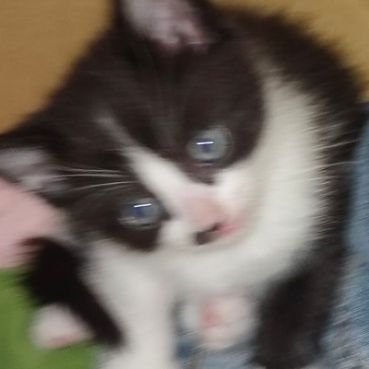 eyeさんのプロフィール画像