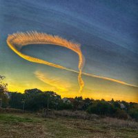Adam Winkler 🇺🇸🇮🇱 🟩🦁⬜️🟥 (@adamwin54231207) 's Twitter Profile