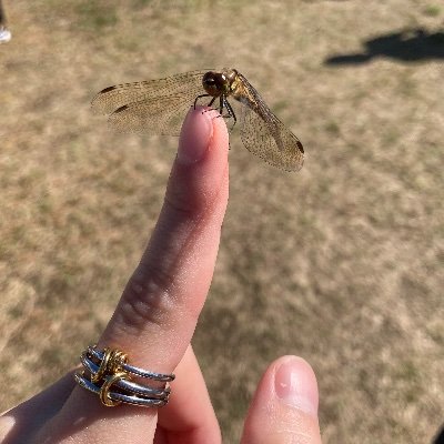 🥦KmRryさんのプロフィール画像