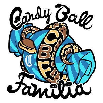 c_b_f060314's profile picture. 神奈川県相模原市で ボールパイソンの繁殖/販売しています🐍                                        動物取扱業登録番号 第200-00250号。     宜しくお願いします🙇🏻☀️🐍🍬